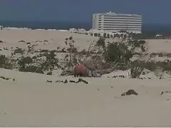 Juguete follando amiga casero falso en su culo
