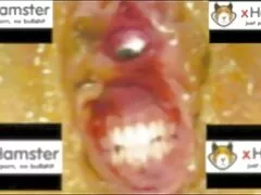 La rubia videos caseros cojiendo por el culo juega con su culo hasta que es adulta.